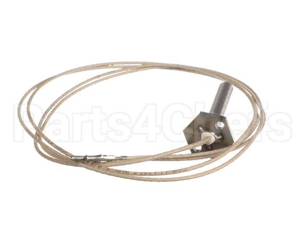 PA045 Cookshack Igniter