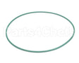PC100090 Doyon Driving Belt