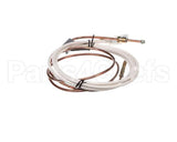 PD62398 Rosito Bisani High Btu Thermocouple