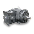 PG9006 Teco Medium Voltage Motor