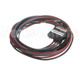PLU01177 Trane Plug, Scroll Compressor, 208/230V, Ckt 1