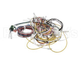 PS2977 Winston Harness Complete Ha4522