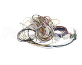 PS2977 Winston Harness Complete Ha4522