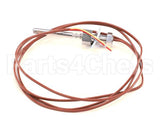 PV718 Cookshack Sensor,Temp