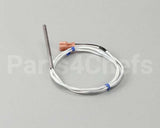 R0022 Blodgett Probe, Thermistor 30K Ohm