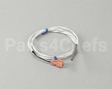 R0022 Blodgett Probe, Thermistor 30K Ohm