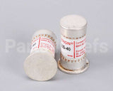 R02.03.011.02 Hatco Kit,Fuse 40A 600V-2 Pack