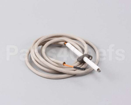 R10052 American Range Electrode,70Assembly Arr-Gril