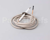 R10052 American Range Electrode,70Assembly Arr-Gril