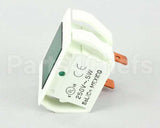 R1318 Blodgett Light, Ind. 250V Green, Rect.