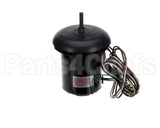 R1747B Aaon Motor