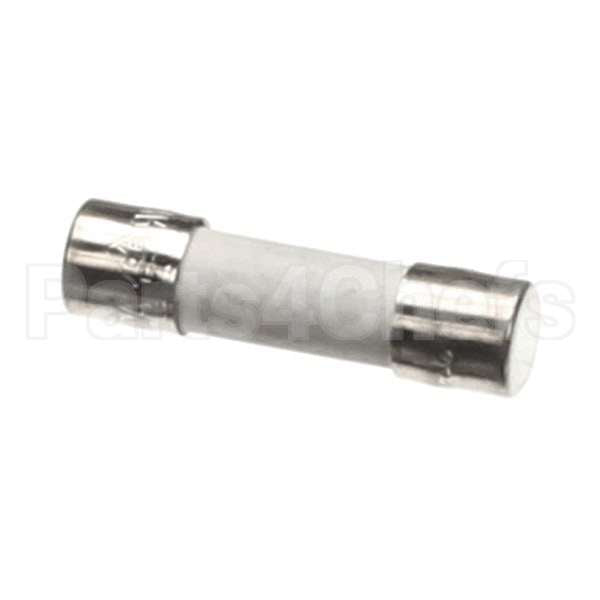 R20E-418.9 Compatible Varimixer Fuse, 10 Amp