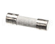 R20E-418.9 Varimixer Fuse 10 Amp For Rn20 Mixer