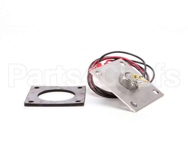 R3141 Blodgett Level Probe Assembly, Short