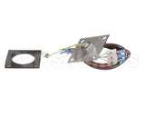 R3142 Blodgett Level Probe Assembly, Long