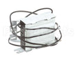 R31621 Scotsman Ballast-120 V
