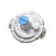 R325N32-0509-06 Compatible Dormont Regulator