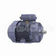 R331B Marathon Motor