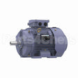 R333B Marathon Motor