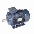 R338B Marathon Motor