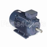 R343B Marathon Motor