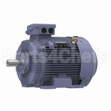 R349B Marathon Motor