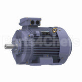 R349B Marathon Motor