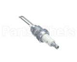 R66250 Aaon Spark Ignitor