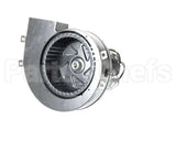 R76800 Aaon Combustion Motor Assembly