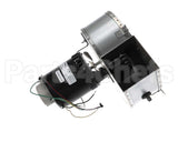 R78310 Aaon 1/4Hp 230V 3400Rpm Comb Assembly