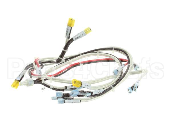 RD85SAE-19 Rankin Delux Wire Harness (1 Per Burner)