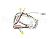 RD85SAE-19 Rankin Delux Wire Harness (1 Per Burner)