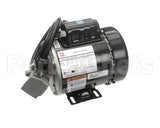 RE816653 Picard Ovens 230V Motor With Plug Re48Re816