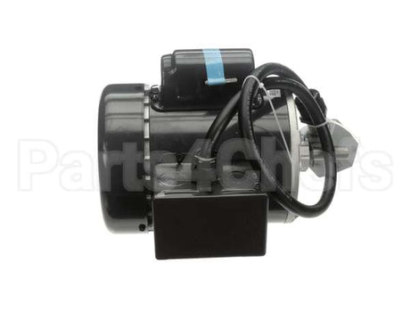 RE816653 Picard Ovens 230V Motor With Plug Re48Re816