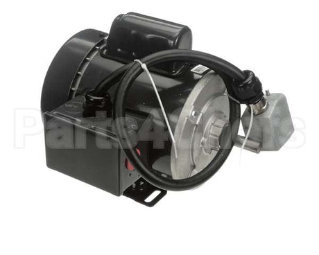 RE824653 Picard Ovens 230V Motor With Plug Re-4-12/Re-8-24