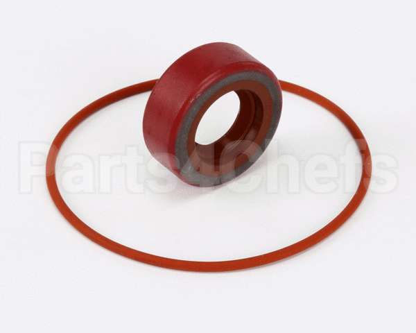 RK0004 Bki Repair Kit, Haight Pump