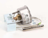 RPC13-109 Intermetro Thermometer