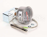 RPC13-109 Intermetro Thermometer