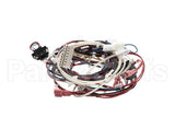 RPC13-442 Intermetro Dual Cav Wiring Harness Digit