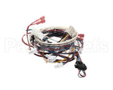 RPC13-442 Intermetro Dual Cav Wiring Harness Digit