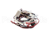 RPC13-442 Intermetro Dual Cav Wiring Harness Digit