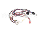 RPC13-560 Intermetro Harness