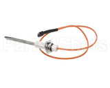 RZ204611 Reznor Dsi Electrode Assy Vr Model