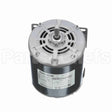 S003 Marathon Motor