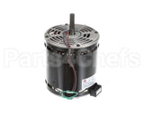 S1-02435600000 York Blower Motor,1.0,1075/3,Ccw,230V