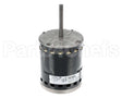 S1-02435705010 York Mtr,Blw,Prgrm,3/4,230V,Std Ecm,Regal