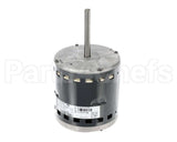 S1-02435887000 York Mtr,Blw,Prgrm,1/2,115V,Std Ecm,Regal