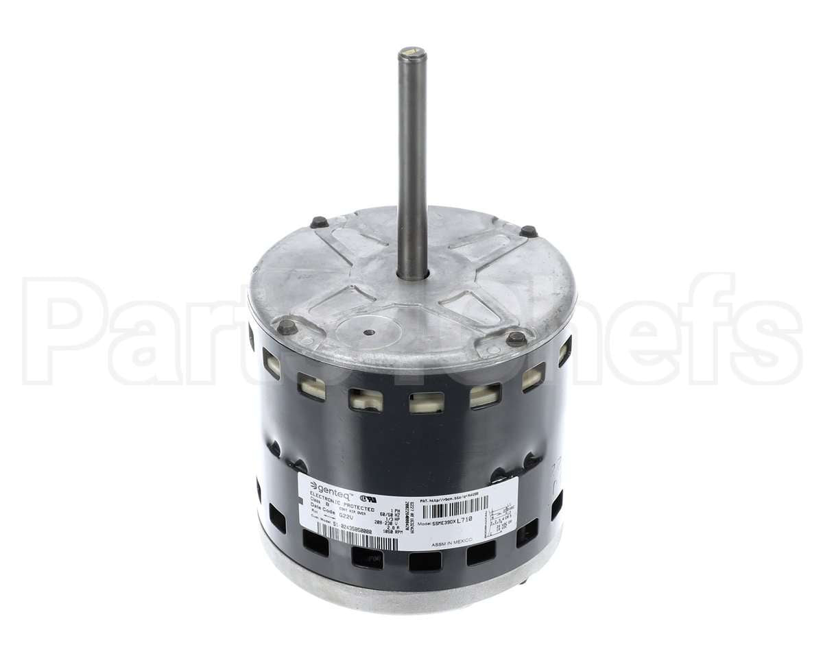 S1-02436012000 York Mtr,Blw,Prgrm,1/3,230V,Std Ecm,Regal