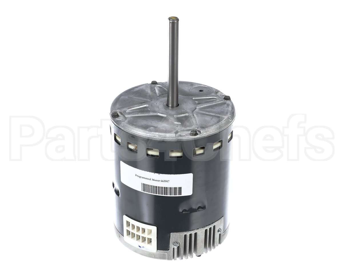 S1-02436016000 York Mtr,Blw,Prgrm,3/4,230V,Std Ecm,Regal