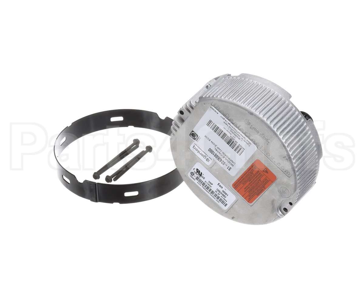 S1-02436081000 York Module,Cntrl,Unprgrm,1.0,Ecm,Regal